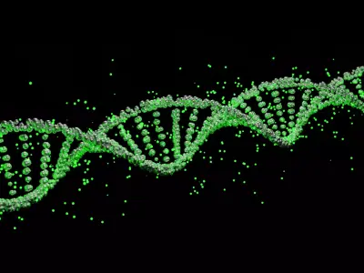 DNA low-poligonal Free 3D model Free low-poly 3D model