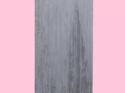 Museum Wall-3D Scan 3D model