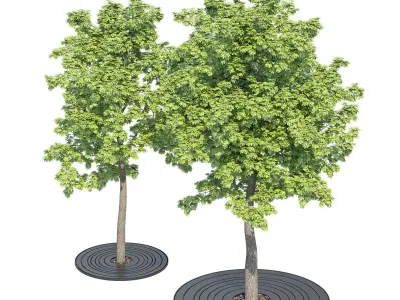 Croso circles grille 3D model