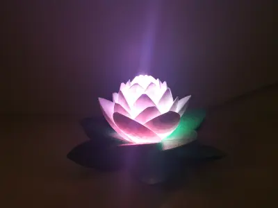 Lotus Lamp Free 3D print model