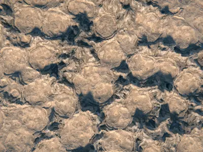 Terrain 02 PBR Low-poly 3D model