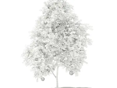 Grapefruit Tree with Fruits 3D model