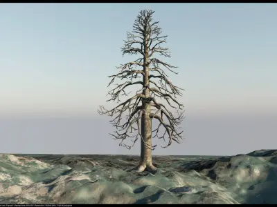 Dry Elements - Plants and terrains - 3D model 3D model