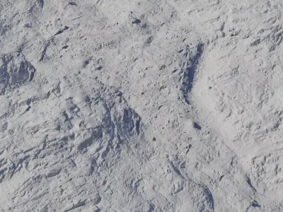 Rocky Moor Grass Blend Texture