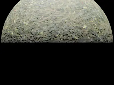 Forest path - 4K PBR BRDF material Texture