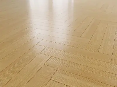 European ash 3D model