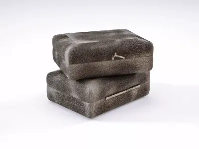 Carbon Shagreen Box 3D model