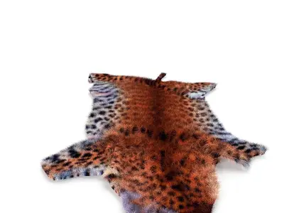 leopard skin Low-poly 3D model