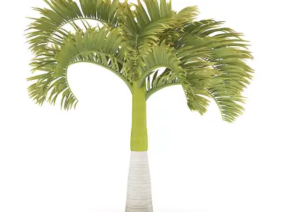 Christmas Palm Tree 3D model