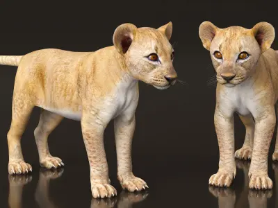  Lion Cub Rigged for Maya 