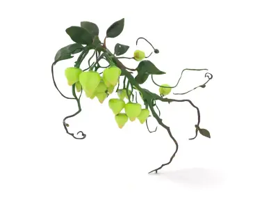 Glowing Vine Lantern model pack Low-poly 3D model