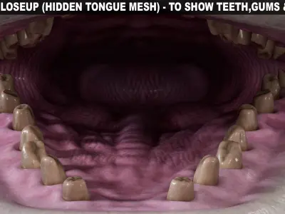  HQ Beluga Whale Mammal 