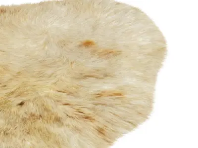 Animal skin rug 02 3D model
