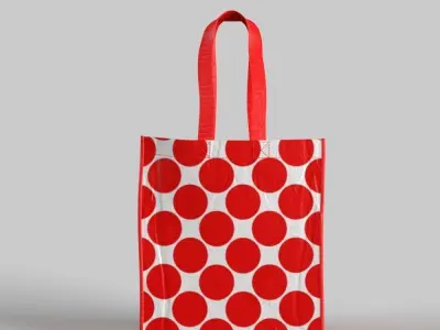 Reusable Bag 3D model