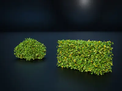 JAPAN NATURE PACK Low-poly 3D model