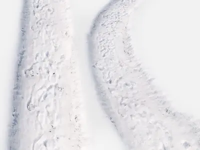 Ultra realistic Snow trail 3D model