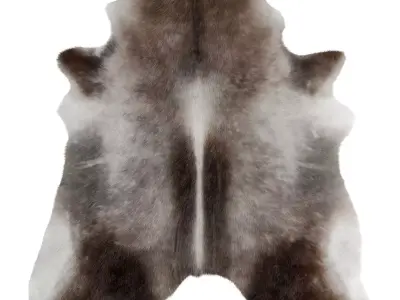 Dark Grey Cowhide Rug by Hudson Hides 3D model