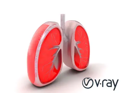 Futuristic Sci-Fi Lungs with Glowing Bronchi model pack Low-poly 3D model