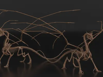  Fossilized Dragon Skeleton 