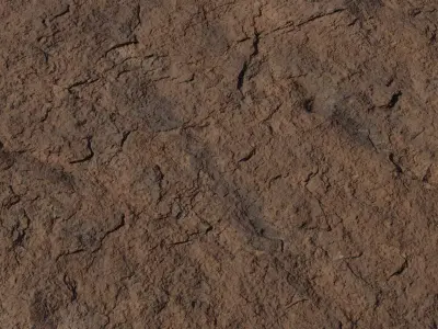 Rough Dry Brown Rock Ground Texture Texture