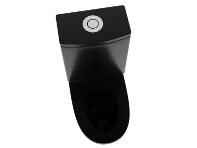 Black Toilet 3D model