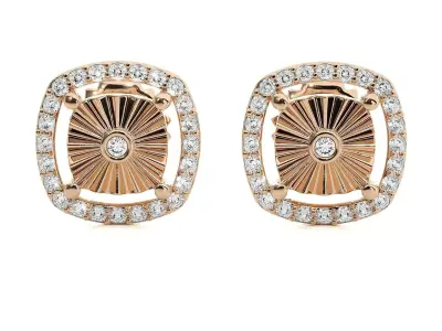 Light wt Women Diamond Earrings  3D print model