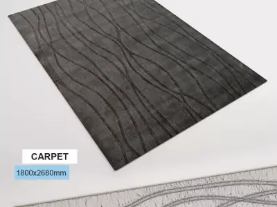 Carpet wavy lines 3D model
