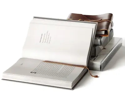 The books 3D model