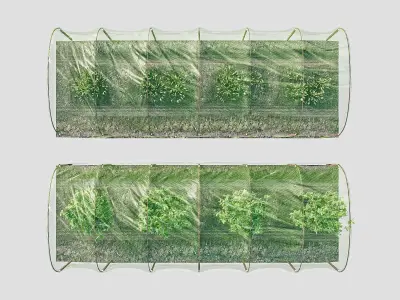 Farm Greenhouse 3D model