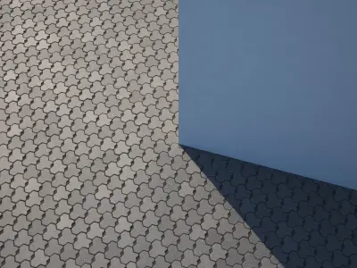 Hexagonal modern black paving texture Texture