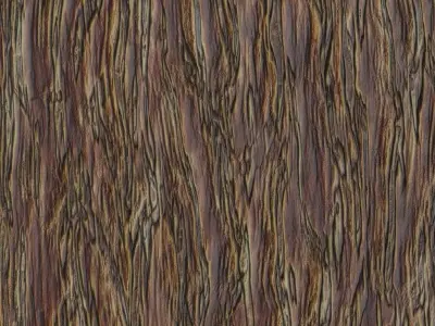 Weathered Exotic Bark Texture