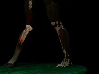 Decomposed Zombie 3D print model