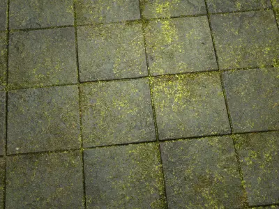 Flagstones 8K PBR Texture Set Texture