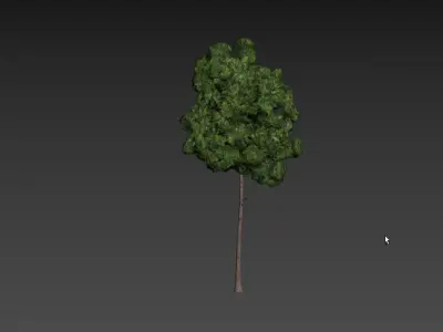 Low Poly Tree Stylish Low-poly 3D model