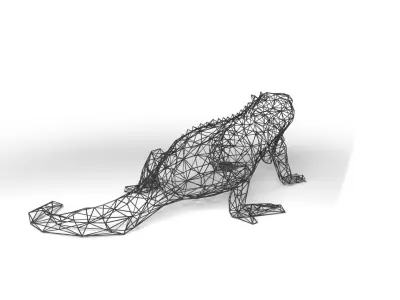 Iguana Wireframe Low-poly 3D model