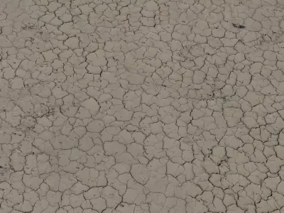 Cracked Dry Mud Flats Texture