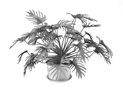 Philodendron in Terracotta Planter 3D model