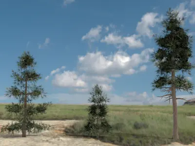 English Trees and Bushes Pack Low-poly 3D model