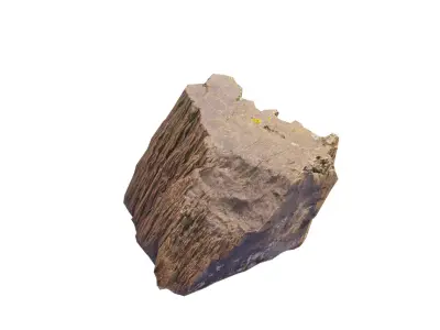 Petrified Wood 3 Low-poly 3D model