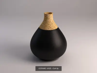 CERAMIC VASE---Collection x10 3D Model Pack
