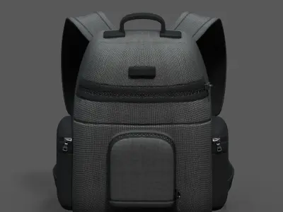 Backpack bag baggage Color 3d low poly Low-poly  3D model