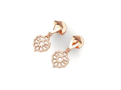 Women Earrings 3D print model