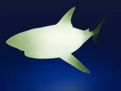 Shark Indirect Lighting 3D model