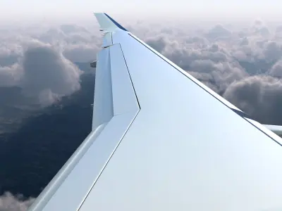  Narrow Body Airliner Flight 