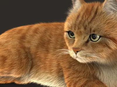  Cat (2) (Orange Tabby) (ANIMATED) (FUR) 