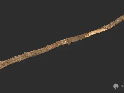 Wood stick 005 - Photogrammetry Low-poly 3D model