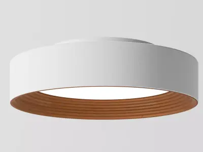 Modern Circular Ceiling Light 3D model