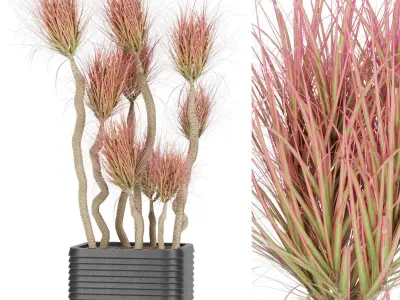 Collection plant vol 9 Free 3D model