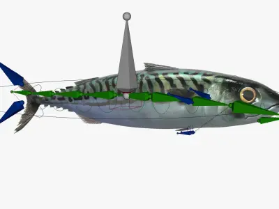  Atlantic Mackerel Fish Rigged For Blender Animated Set 