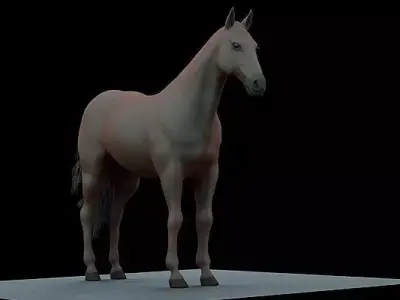 The Most Advanced Horse Rig for Blender  Its Here Low-poly 3D model